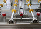 Glass transfer conveyor systems With Glass Automatic Location System supplier